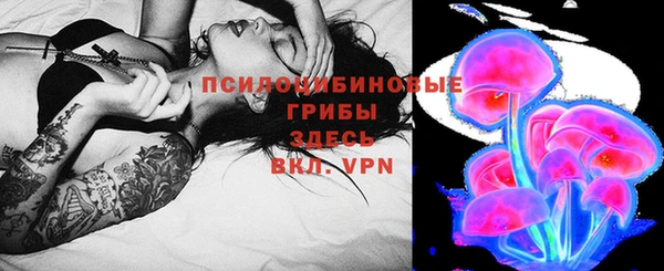 МДПВ Арсеньев